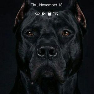 Meet your Posher, Franklin